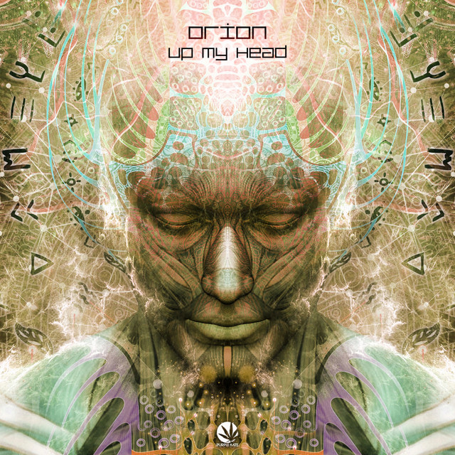 Into My Head