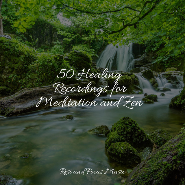 50 Healing Recordings for Meditation and Zen - Album by Baby Sleep ...