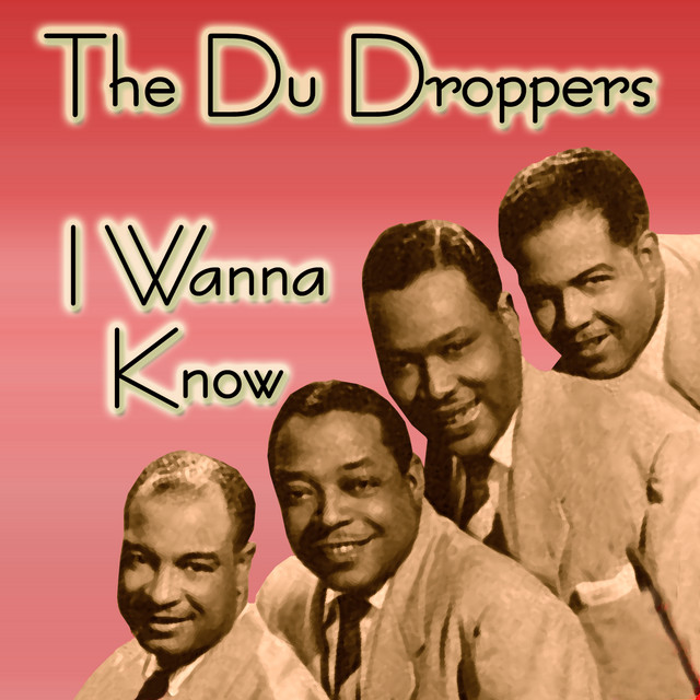 I Wanna Know - Album by The Du Droppers | Spotify