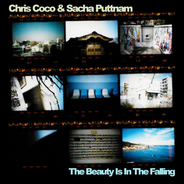 The Beauty Is In The Falling cover art