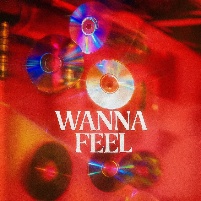 Обкладинка: wanna feel — Kartezz