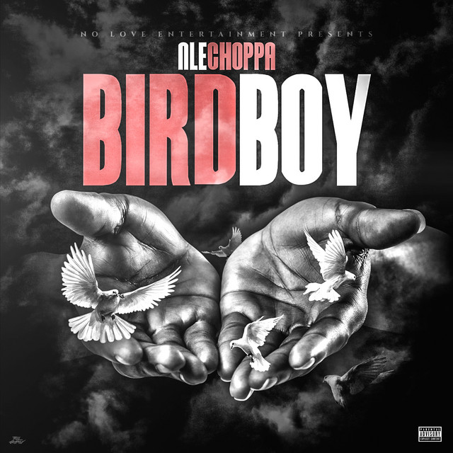 BIRDBOY cover art
