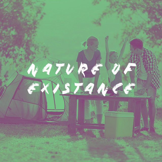 Nature of Existance cover art