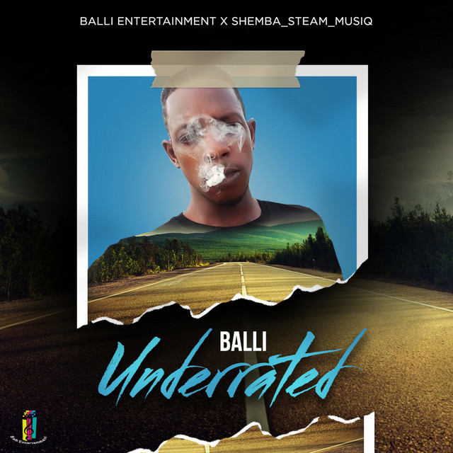 Underrated/Underestimated (Special Version) - Single by BALLI_MUSIQ ...