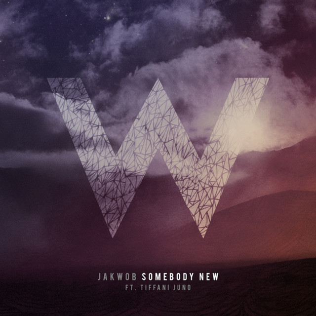 Somebody New feat. Tiffani Juno - Jakwob VIP album art