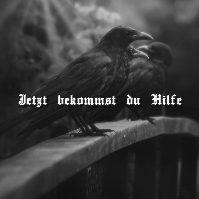 Jetzt bekommst du Hilfe