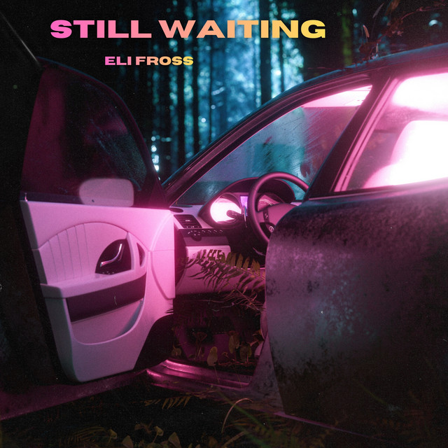 Still Waiting - Single by Eli Fross | Spotify