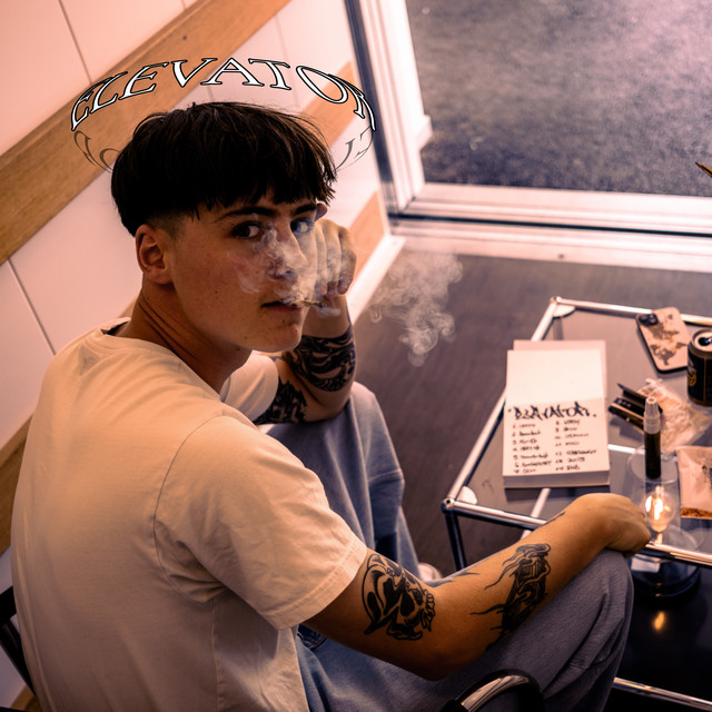 Elevator cover art