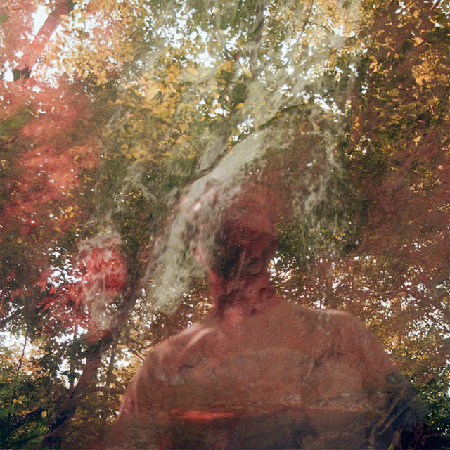 Self-Eval cover art