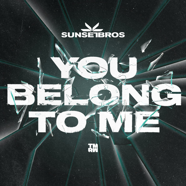 You Belong To Me - Extended Mix album art
