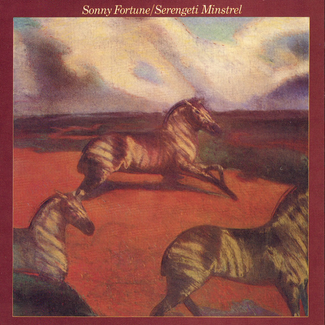 Sterengeti Minstrel cover
