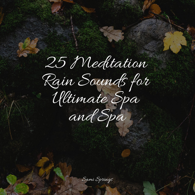 25 Meditation Rain Sounds for Ultimate Spa and Spa - Album by Active ...