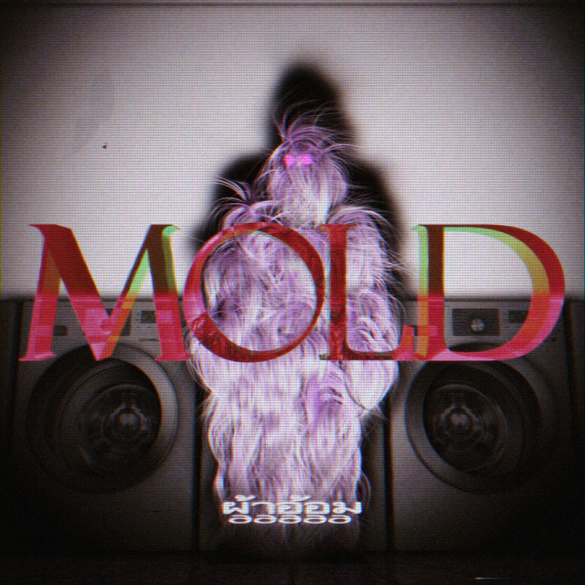 ผ้าอ้อม99999(pa-o-mu99999) / pop slop mold - Album by ผ้าอ้อม99999 | Spotify