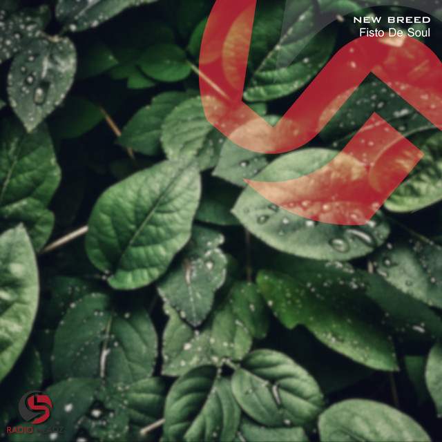 Gratitude cover art