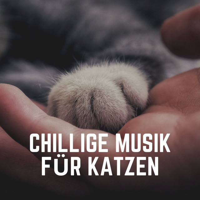 Chillige Musik für Katzen cover art