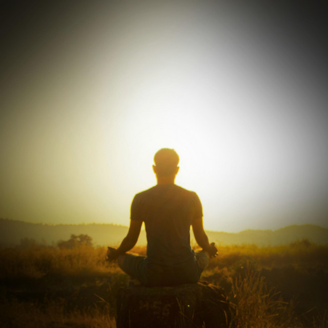Feel Calm and Meditate with the Relaxing Sounds of Crickets album image