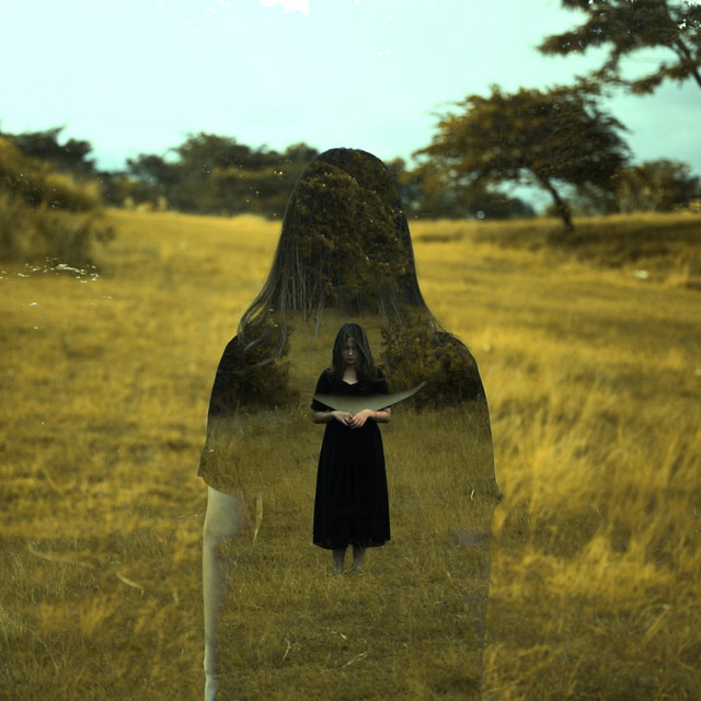 The Way It Ends cover art