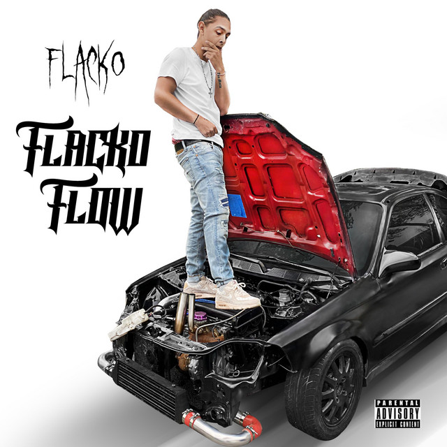 Flow cover art