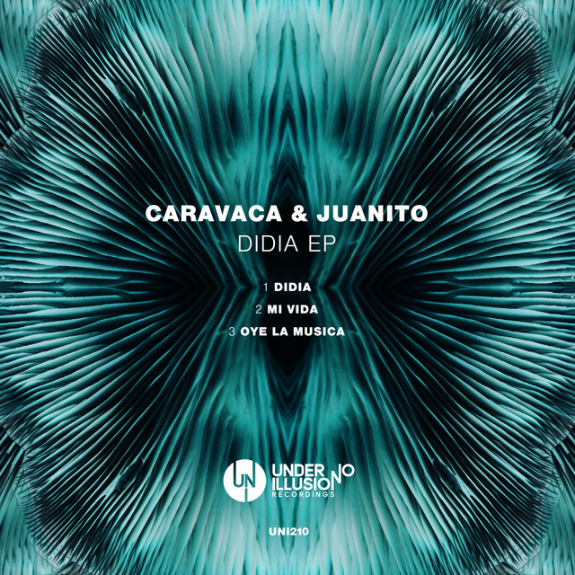 Mi Vida album art
