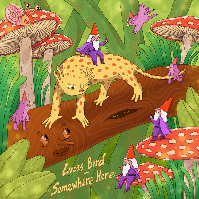 Обкладинка: Somewhere Here — Lucas Bird