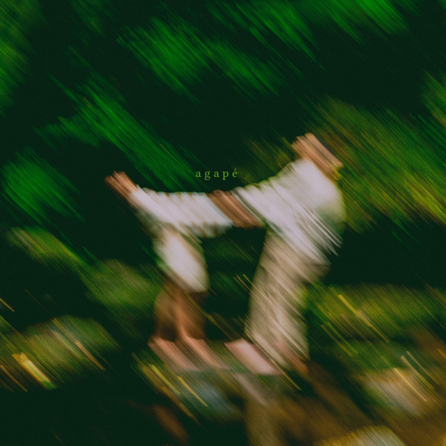 Metis cover art