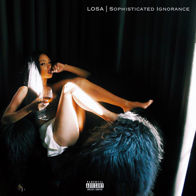 Sophisticated Ignorance cover art
