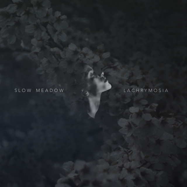Lachrymosia cover art
