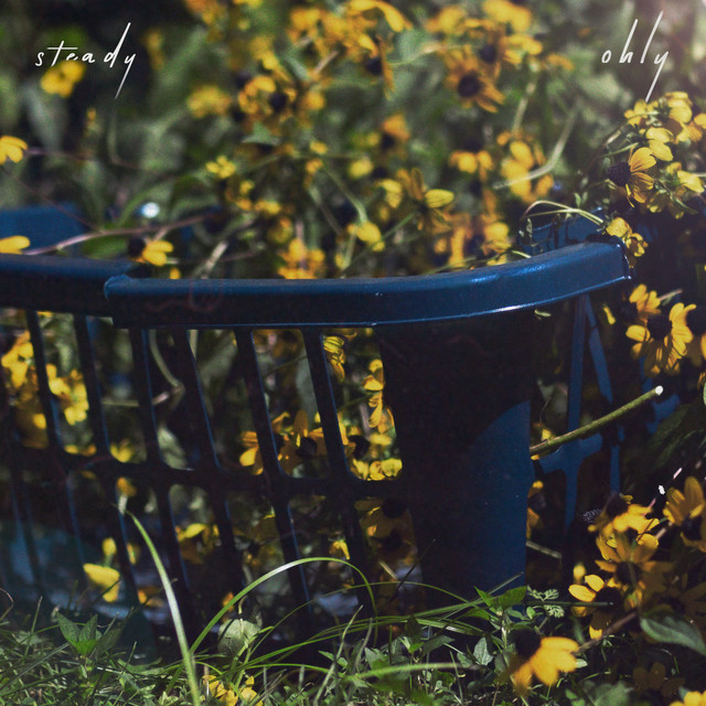 Steady cover art