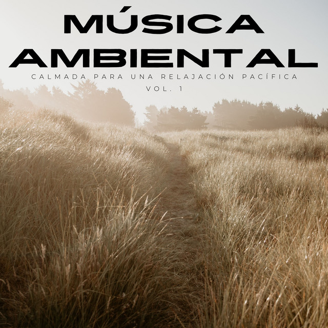 Música Ambiental Calmada Para Una Relajación Pacífica Vol. 1 - Album by ...