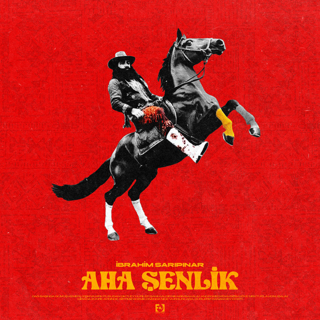 Aha Şenlik cover art