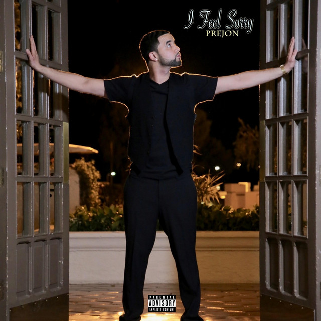 I Feel Sorry cover