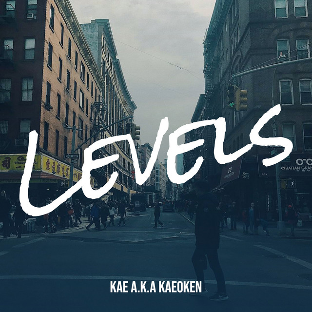 Levels cover
