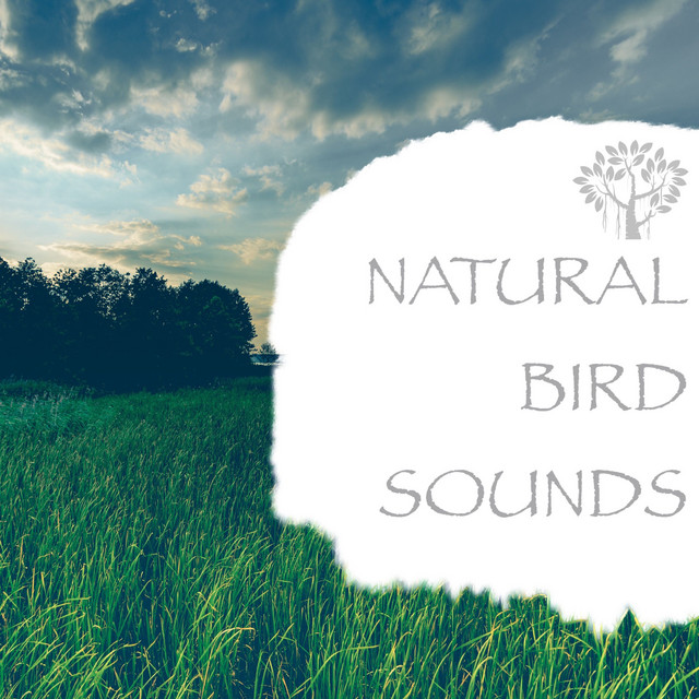 Natural Bird Sounds cover art