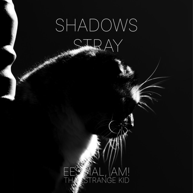 Shadows Stray cover art