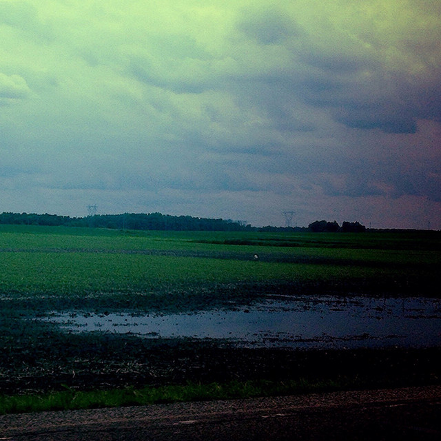 Entropy