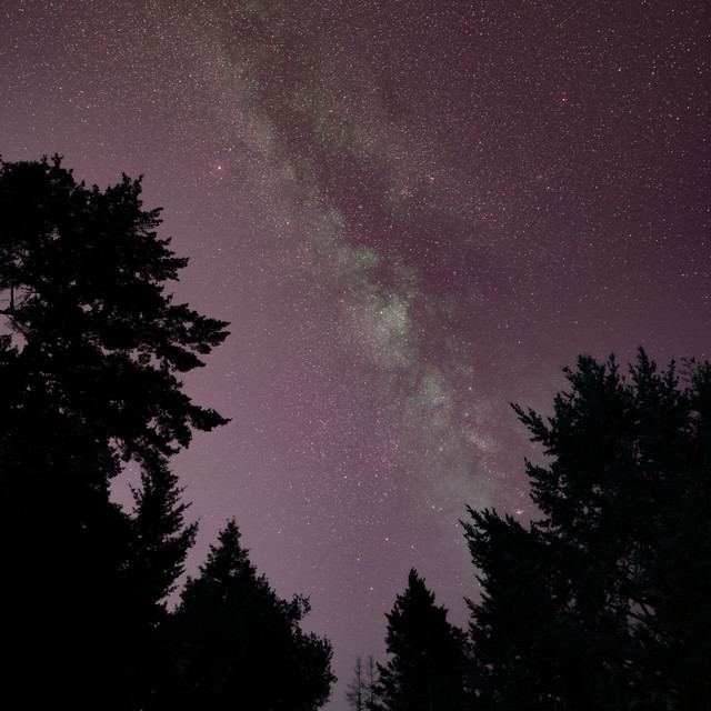 Melody Lover Boi