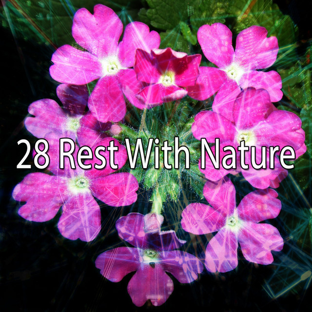 28 Rest With Nature - Album by Sleep Sounds of Nature | Spotify