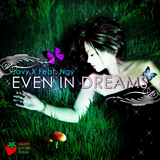 Even In Dreams - Cocinasonica Pres. AB Freezeman Remix cover art