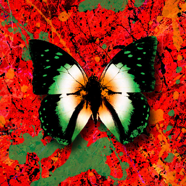 undefined album image