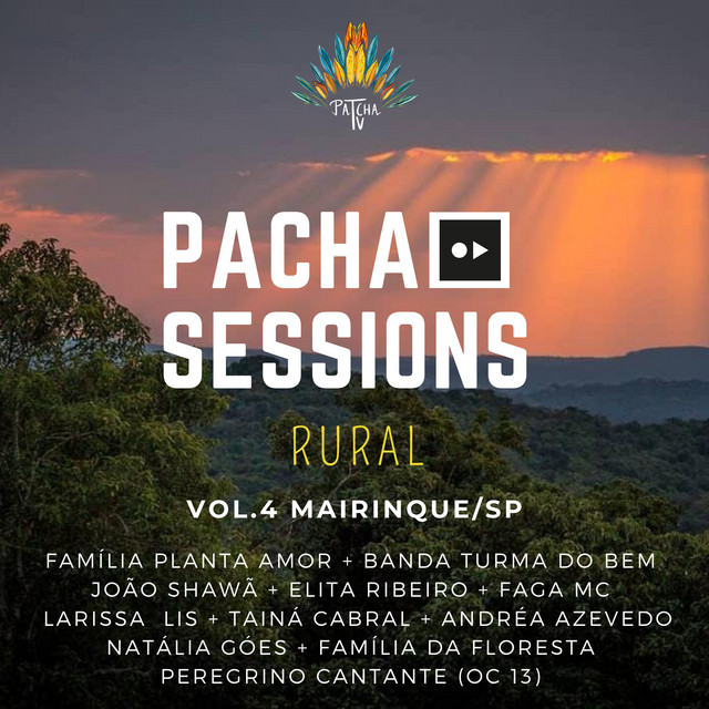 Pacha Sessions, Vol. 4 cover art