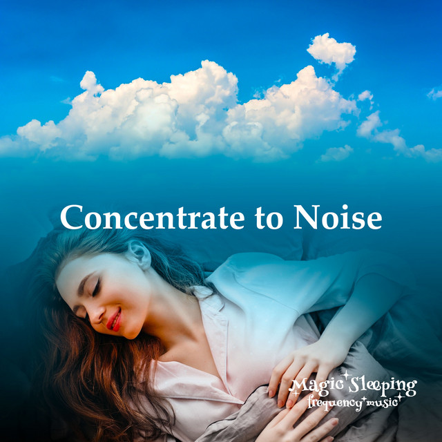 Concentrate to Noise cover art
