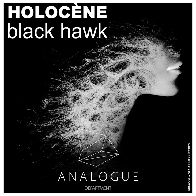 Black Hawk - Radio Edit cover art