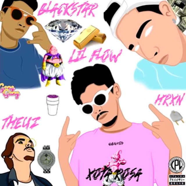 Xota Rosa cover