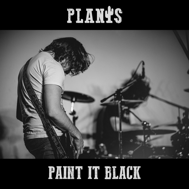 Paint It Black cover art