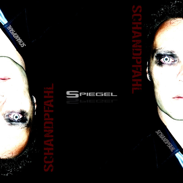 Spiegel cover