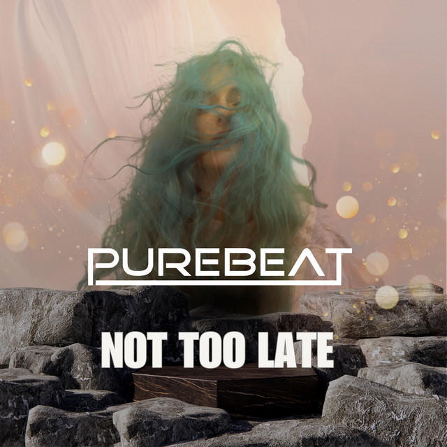 Not Too Late cover art