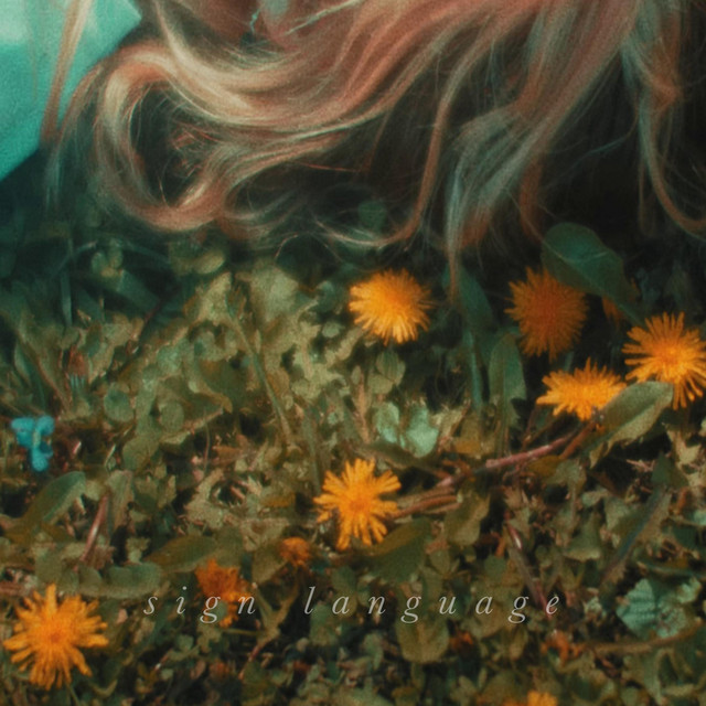 Solara cover art