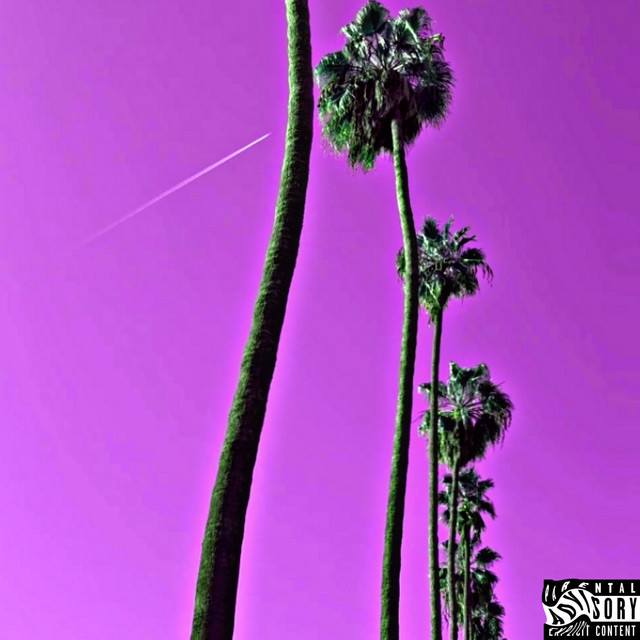 Mi Amor cover art