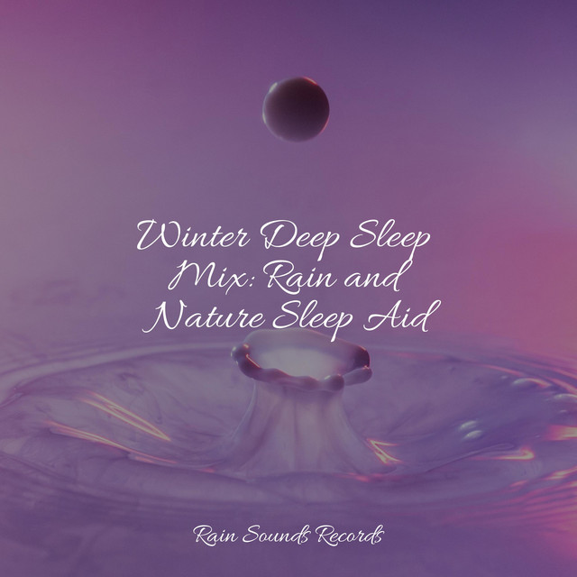 Winter Deep Sleep Mix: Rain and Nature Sleep Aid - Album by Lucid