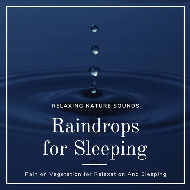 Raindrops for Sleeping: Relaxing Nature Sounds, Rain on Vegetation for Relaxation And Sleeping cover art